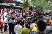 Mướt mồ hôi chen chân đi xem "cá thần"