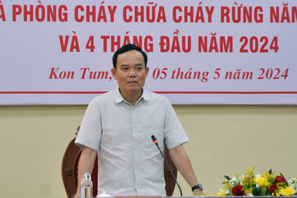 Phó Thủ tướng Trần Lưu Quang: Bảo vệ rừng không nên ỷ lại - 1 Phó Thủ tướng Trần Lưu Quang: Bảo vệ rừng không nên ỷ lại - 1