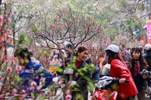 Tết Nguyên Đán 2018: Tổng LĐLĐ VN đề xuất nghỉ trước Tết 2 ngày