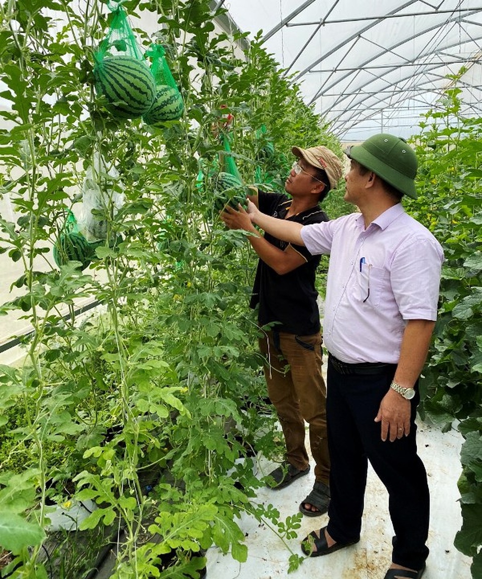 Bỏ việc về quê làm nông dân, chàng trai lãi ròng 500 triệu đồng/năm - 4 Bỏ việc về quê làm nông dân, chàng trai lãi ròng 500 triệu đồng/năm - 4