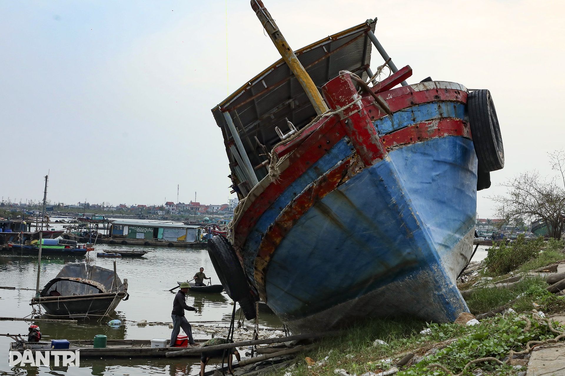 Hậu bão Yagi: Bãi rác khổng lồ lênh đênh trên vịnh Hạ Long - 8 Hậu bão Yagi: Bãi rác khổng lồ lênh đênh trên vịnh Hạ Long - 8