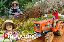 Nữ tiến sĩ bỏ phố lên rừng, lái máy cày, làm nông nghiệp sạch