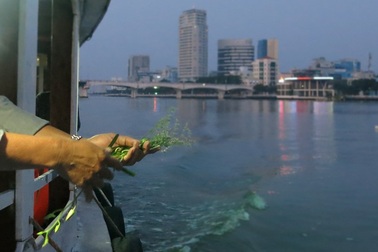 Hương linh nhạc sỹ Phan Huỳnh Điểu đã về với sông Hàn