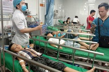 Nghệ An: Nhiều học sinh bị ong đốt phải nhập viện cấp cứu