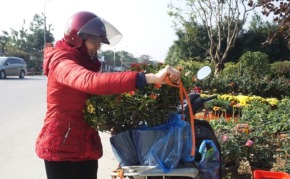 Hoa Tết giá mềm, người dân tranh thủ đi chọn sớm - 8 Hoa Tết giá mềm, người dân tranh thủ đi chọn sớm - 8