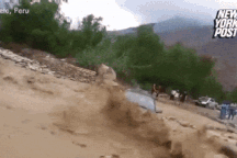 May mắn thoát chết nhờ kính chắn gió ô tô... bị vỡ