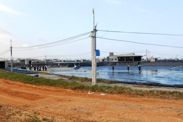 Hệ lụy từ nuôi tôm trên cát: Nguồn nước đang bị đầu độc