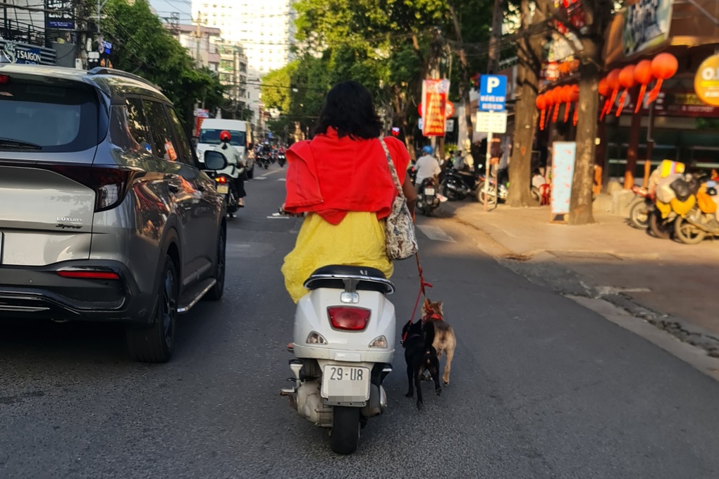 Công an Khánh Hòa truy tìm người phụ nữ đầu trần đi xe máy dắt 2 con chó - 1 Công an Khánh Hòa truy tìm người phụ nữ đầu trần đi xe máy dắt 2 con chó - 1