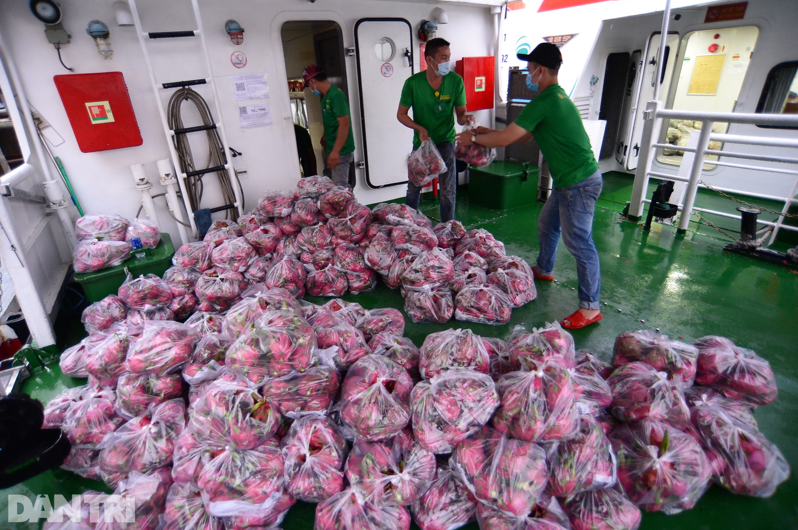 Tàu cao tốc lao như bay trên sông đưa 20 tấn rau củ miền Tây về TPHCM - 7 Tàu cao tốc lao như bay trên sông đưa 20 tấn rau củ miền Tây về TPHCM - 7