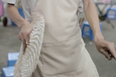 10 mùi hôi khó chịu có thể bị đánh bật