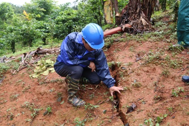 Mặt đất nứt toác sau tiếng nổ lạ: Tái định cư cho 120 hộ dân