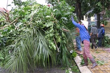 23 người mất tích sau bão số 8