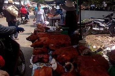 Hãi hùng với “lộc sơn thần”!