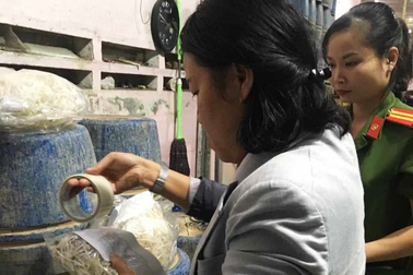 Hai cơ sở dùng chất cấm làm hàng tạ giá đỗ mỗi ngày