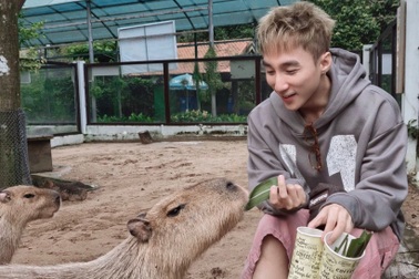 Chân dung "ngôi sao" Thảo Cầm Viên khiến Sơn Tùng M-TP tìm đến chụp ảnh