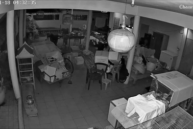 Người phụ nữ suýt bị trăn mổ trúng đầu khi đi ngang trước mặt con vật