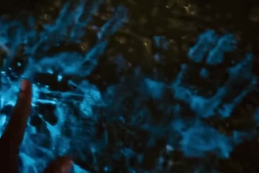 Nước biển ở Hạ Long phát ánh sáng xanh trong đêm