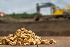 Đề nghị cấp phép thăm dò mỏ quặng vàng có diện tích 523ha