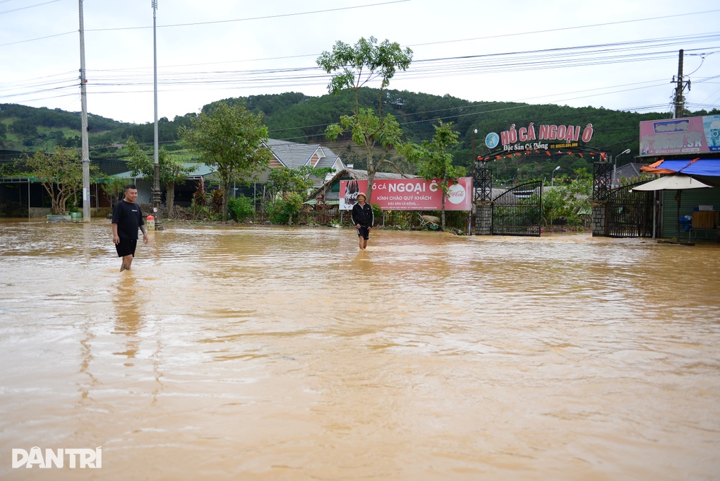 Lũ cuồn cuộn đổ về gây ngập nhà cửa, vườn tược ở Lâm Đồng - 3 Lũ cuồn cuộn đổ về gây ngập nhà cửa, vườn tược ở Lâm Đồng - 3