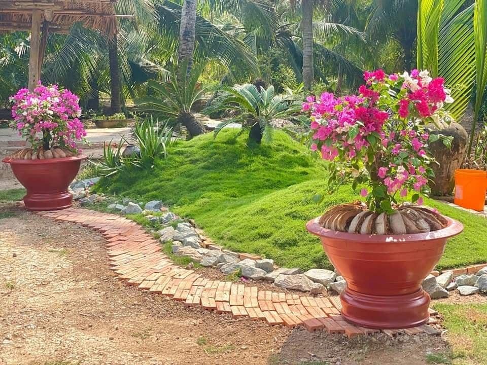 Chàng trai Tiền Giang cải tạo đất trống thành vườn 200m2 chỉ 10 triệu đồng - 6 Chàng trai Tiền Giang cải tạo đất trống thành vườn 200m2 chỉ 10 triệu đồng - 6