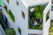 Nhà phố xanh mướt độc đáo với hình dáng du thuyền tại Nha Trang