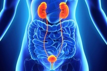 Các triệu chứng ung thư bàng quang giai đoạn 3