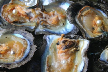 Những con trai "bạc triệu" điêu đứng vì nguồn nước ô nhiễm