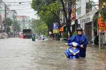 Các tỉnh, thành miền Trung sẵn sàng ứng phó bão số 12 và mưa lớn