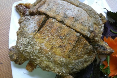 Về Cà Mau thưởng thức đặc sản rùa rang muối