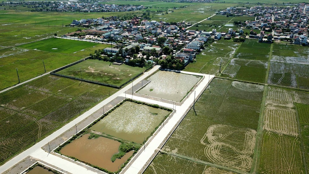 Em trai trúng 23 lô đất, phó chủ tịch huyện nói không biết em tham gia - 2 Em trai trúng 23 lô đất, phó chủ tịch huyện nói không biết em tham gia - 2