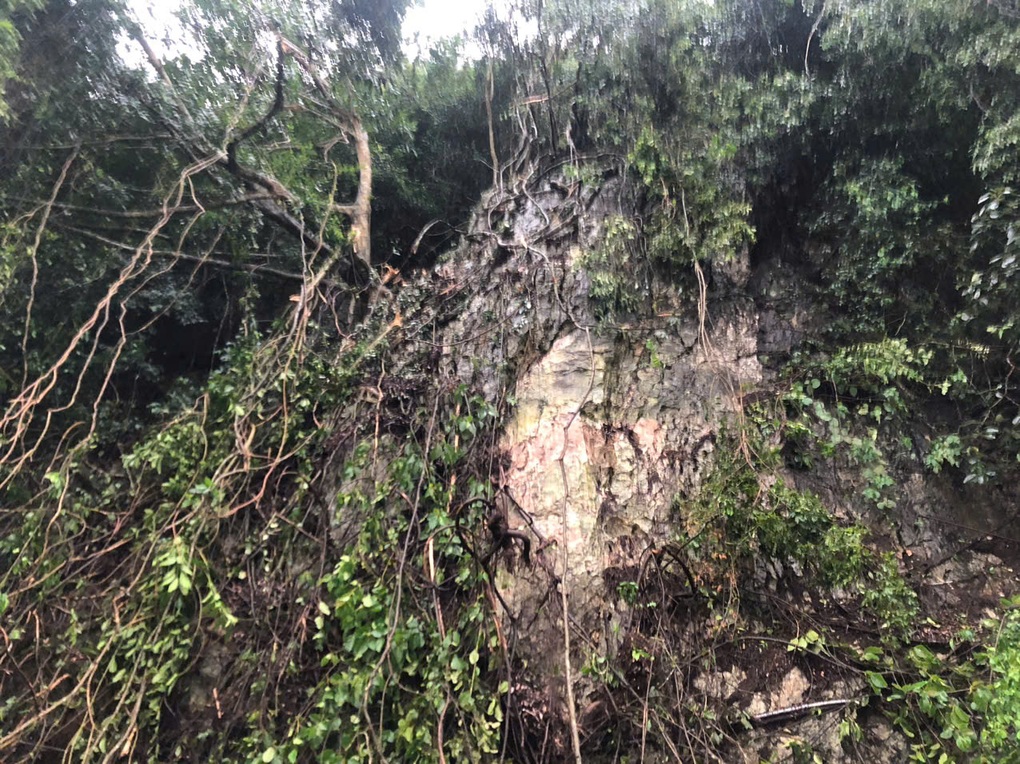 Cây từ trên núi đổ xuống đường đè 2 bố con - 1 Cây từ trên núi đổ xuống đường đè 2 bố con - 1