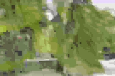 Làm sao cách ly đối tượng tâm thần từng giết người?