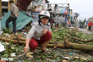 "Bão Noru chưa vào, tiền vàng theo lốc bay tứ tung, tôi cố níu không được"