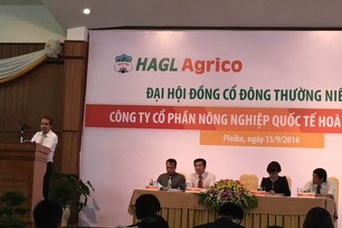 Nếu không được "cứu", bầu Đức sẽ bán 20.000 ha cao su cho Trung Quốc