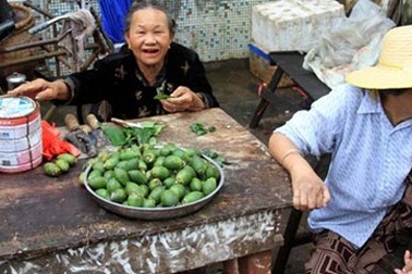 Sợ ung thư, châu Á nỗ lực chặt bỏ cây cau