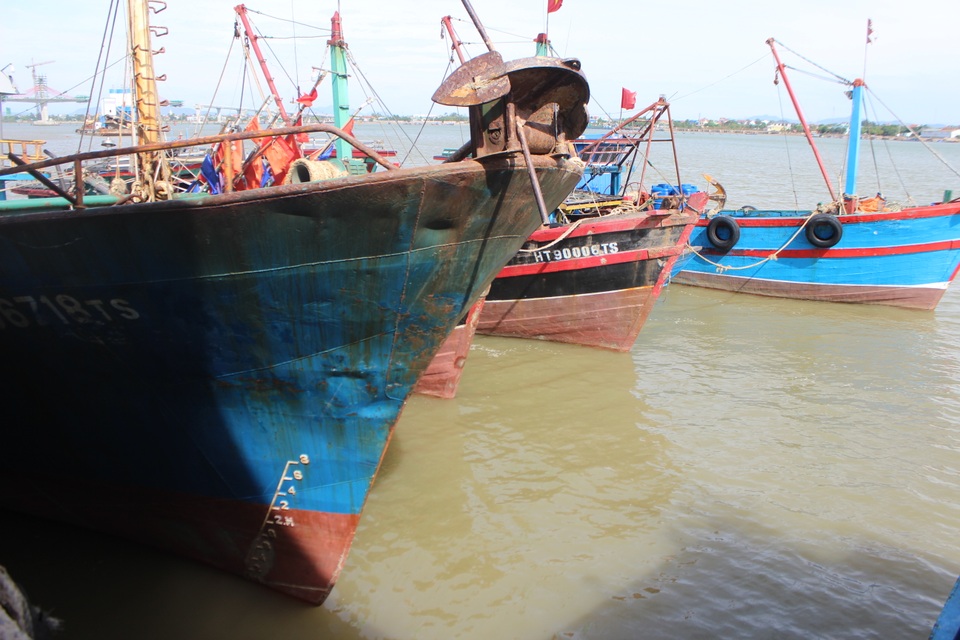 Cầu cảng bị bồi lấp nghiêm trọng, tàu thuyền không thể ra vào - 4 Cầu cảng bị bồi lấp nghiêm trọng, tàu thuyền không thể ra vào - 4