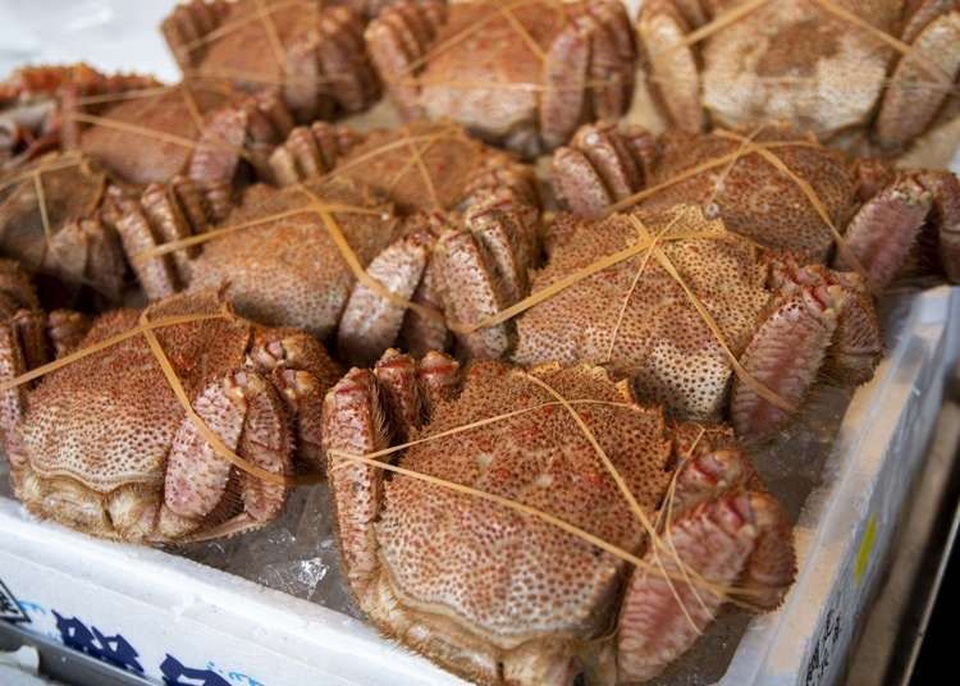 Mùa xuân nhất định phải ghé Hokkaido ăn cua lông mỹ vị - 2 Mùa xuân nhất định phải ghé Hokkaido ăn cua lông mỹ vị - 2