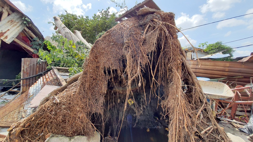Mẹ ôm con trai chạy khỏi phòng trọ bị cây cổ thụ đè sập ở Sài Gòn - 3 Mẹ ôm con trai chạy khỏi phòng trọ bị cây cổ thụ đè sập ở Sài Gòn - 3