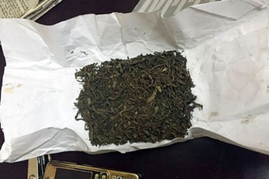 "Cỏ Mỹ" và những ẩn họa tàn phá giới trẻ