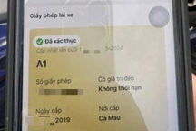 Một tài xế ở Bạc Liêu bị tạm giữ giấy phép lái xe qua VNeID
