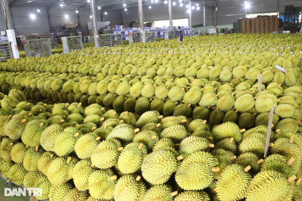 Biến thách thức thành cơ hội với loại quả tỷ đô - 4