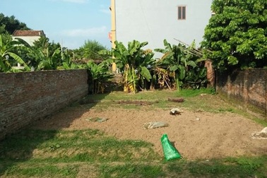 Đất nhiều làng ngoại thành Hà Nội lên 30 triệu đồng/m2, tăng "sốc" 50%