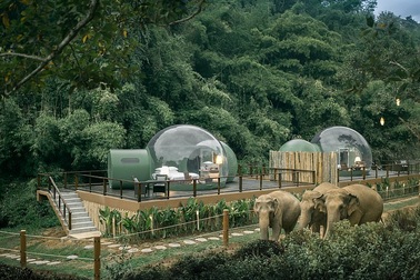 “Ngôi nhà bong bóng” sang trọng, trong suốt nằm giữa rừng rậm cùng những con voi