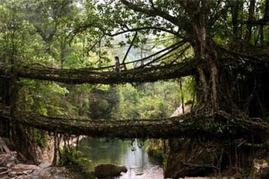 Những cây cầu "dị" và kỳ lạ nhất thế giới