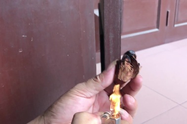 15 năm buôn gỗ sưa vẫn bị lừa mất trắng cả tỷ bạc