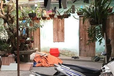 Thủ dao đi trộm, táo tợn đâm bị thương người chặn bắt