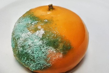 Những chiếc bánh khác thường khiến thực khách chỉ muốn “chết ngất”