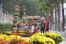 Người dân đổ xô đến chụp hình lưu niệm con đường hoa ở thành Vinh