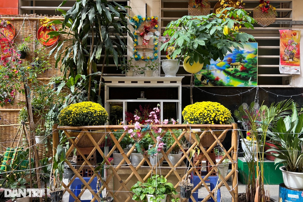 Bà con trong hẻm nhỏ góp tiền làm đường hoa đón xuân mới - 4 Bà con trong hẻm nhỏ góp tiền làm đường hoa đón xuân mới - 4