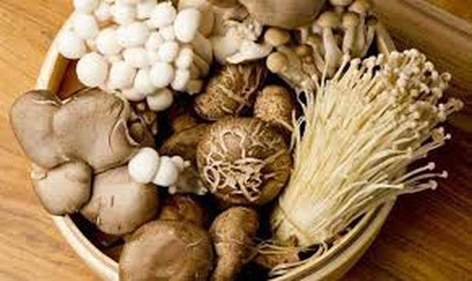 Bệnh nhân ung thư dạ dày nên ăn gì? - 2 Bệnh nhân ung thư dạ dày nên ăn gì? - 2